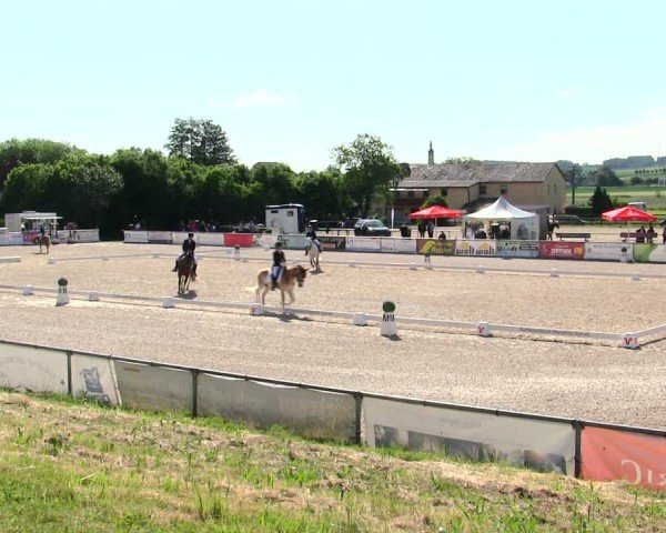 Reitturnier Mallersdorf-Pfaffenberg/Ndb. 2025