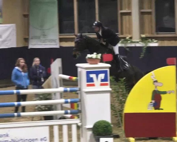 Hallenspringturnier Weilheim/Teck 2014