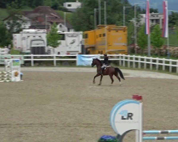 Reitturnier St. Margarethen 2025