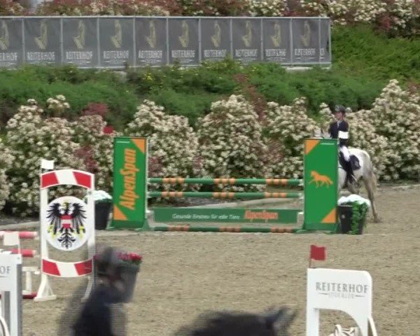 Reitturnier St. Margarethen 2025