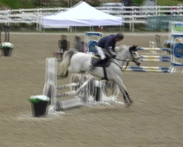 Reitturnier St. Margarethen 2025