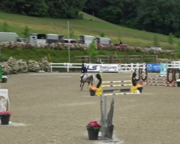 Reitturnier St. Margarethen 2025