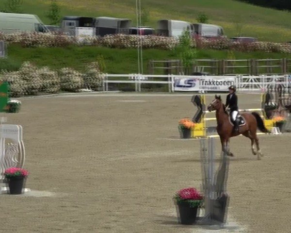 Reitturnier St. Margarethen 2025