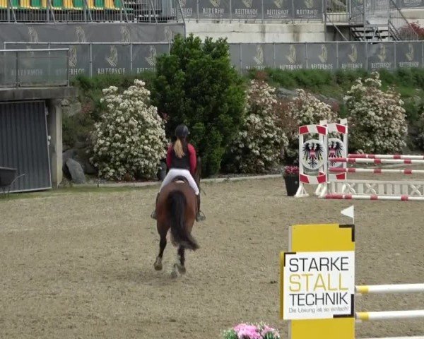 Reitturnier St. Margarethen 2025