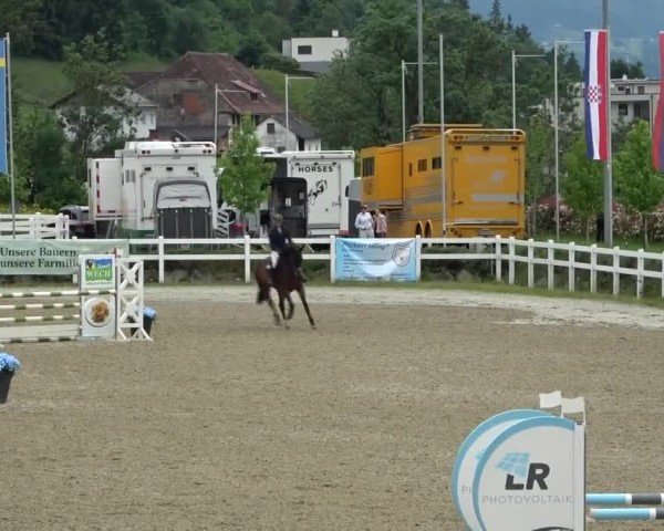 Reitturnier St. Margarethen 2025