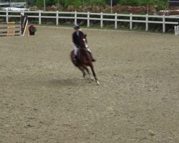 Reitturnier St. Margarethen 2025