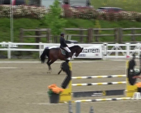Reitturnier St. Margarethen 2025