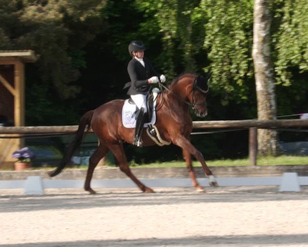Reitturnier Leonberg 2025