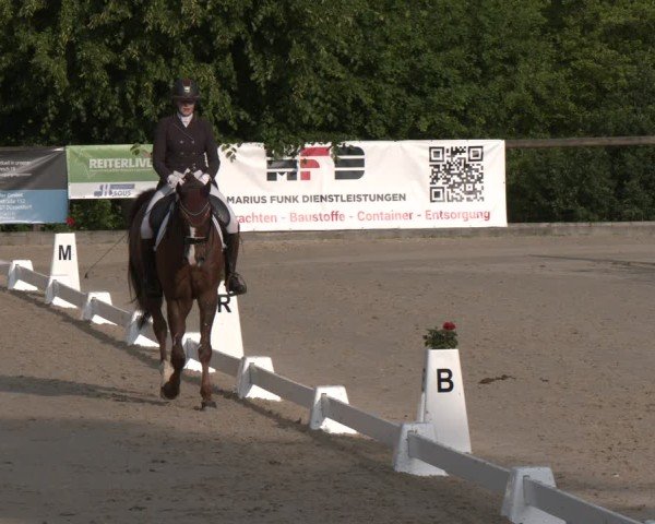 Reitturnier Erkrath - Uhlenhof 2025