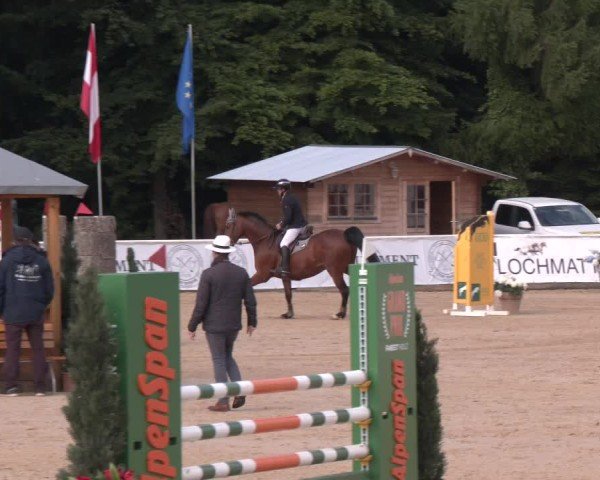 Reitturnier Ranshofen - Braunau am Inn 2025