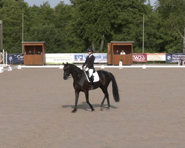 Reitturnier Erkrath - Uhlenhof 2025