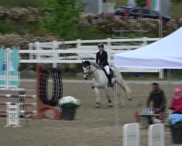 Reitturnier St. Margarethen 2025