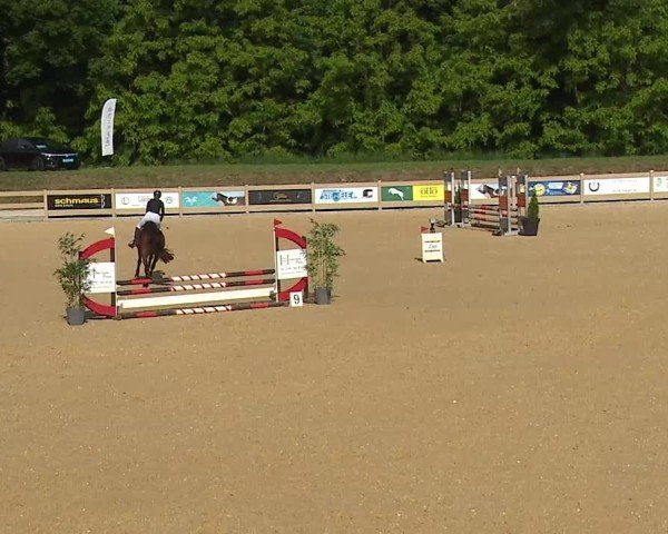 Reitturnier Tiefenhof/Opf. 2025