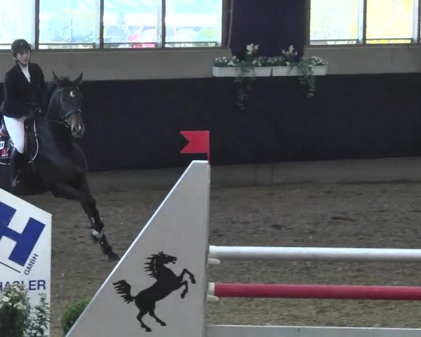 Hallenspringturnier Weilheim/Teck 2014