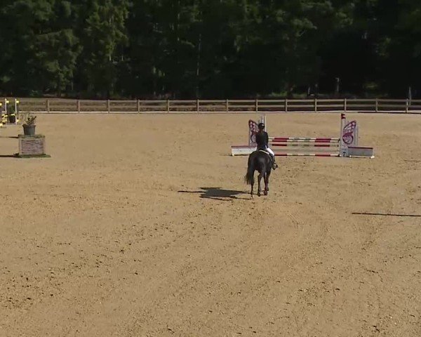 Reitturnier Tiefenhof/Opf. 2025