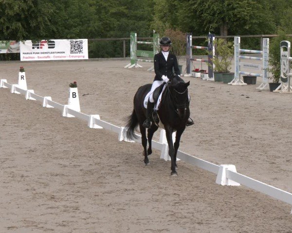 Reitturnier Erkrath - Uhlenhof 2025