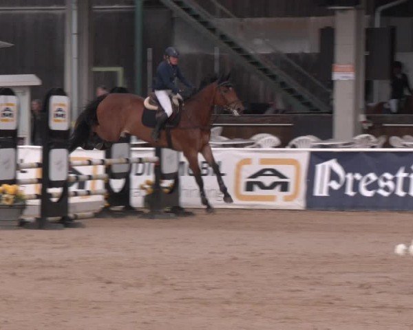 Reitturnier Ranshofen - Braunau am Inn 2025