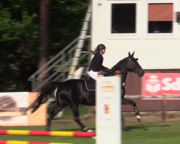 Reitturnier Zeven 2025