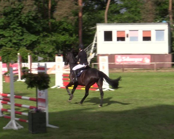Reitturnier Zeven 2025
