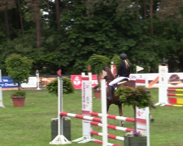 Reitturnier Zeven 2025