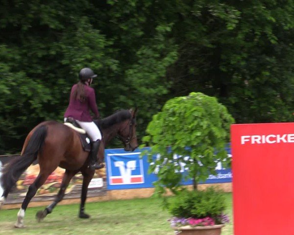 Reitturnier Zeven 2025