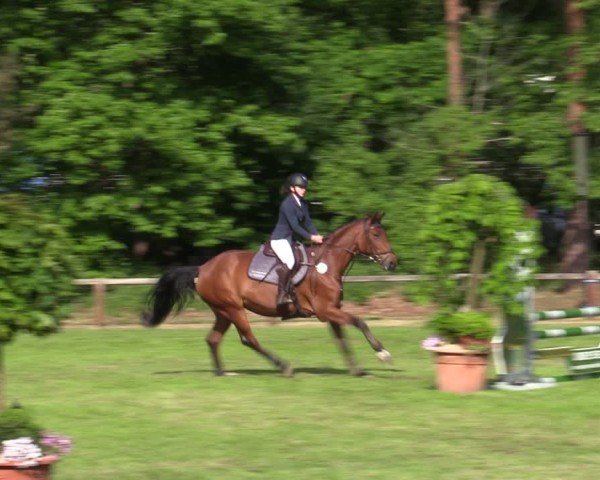 Reitturnier Zeven 2025