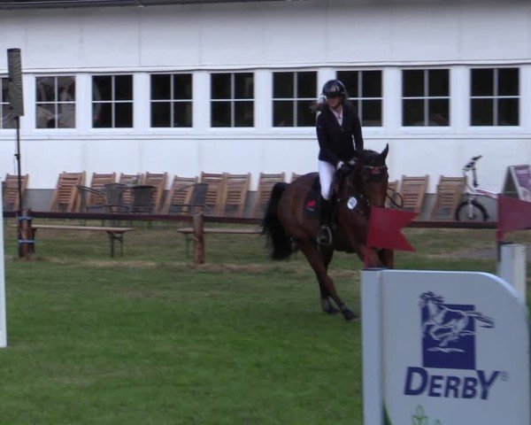 Reitturnier Zeven 2025