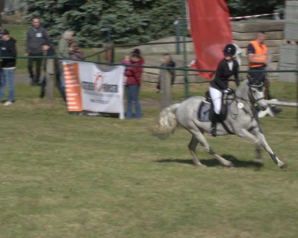 Reitturnier Buckow bei Beeskow (LOS) 2025