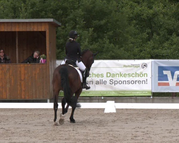 Reitturnier Erkrath - Uhlenhof 2025