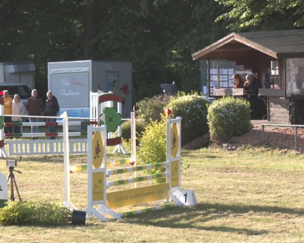 Reitturnier Stadthagen 2025