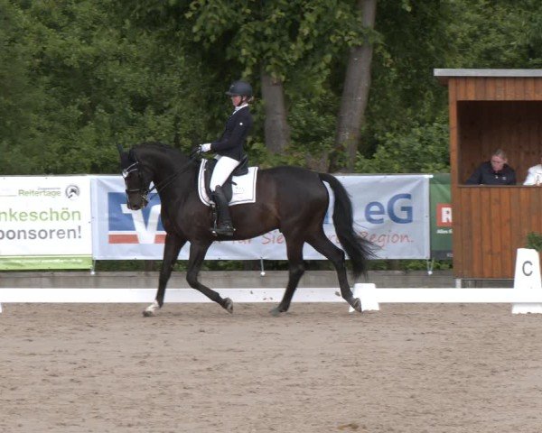 Reitturnier Erkrath - Uhlenhof 2025