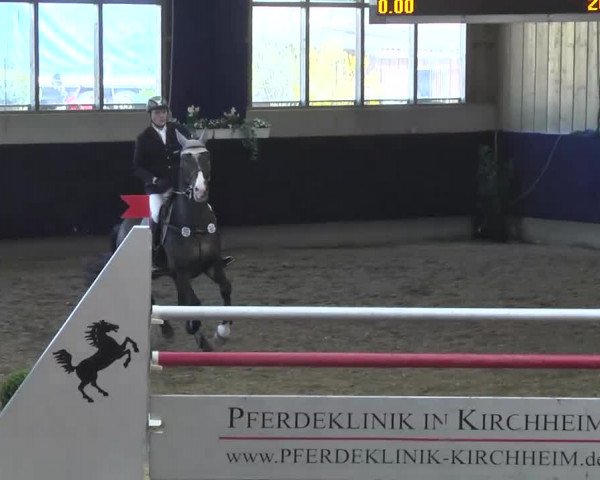 Hallenspringturnier Weilheim/Teck 2014