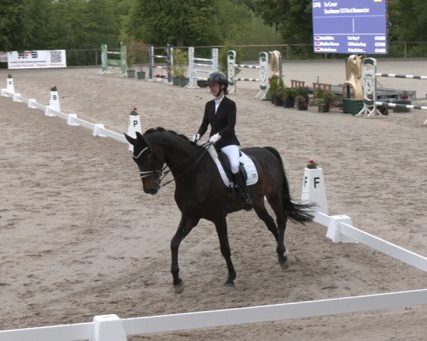 Reitturnier Erkrath - Uhlenhof 2025
