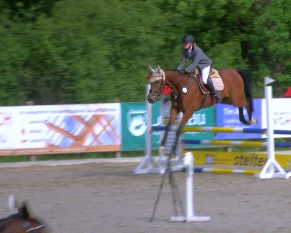 Reitturnier Alvern 2025