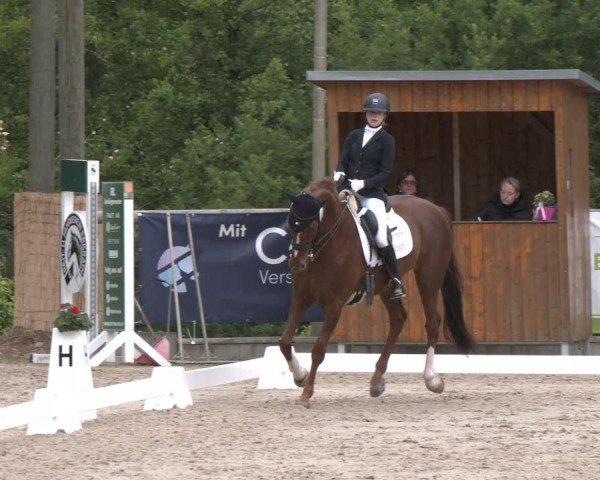 Reitturnier Erkrath - Uhlenhof 2025