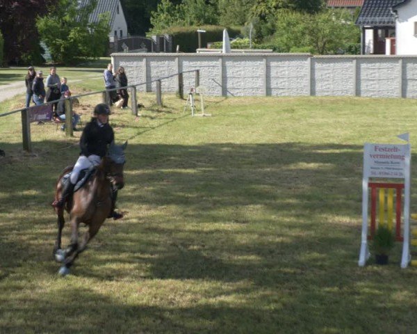 Reitturnier Buckow bei Beeskow (LOS) 2025