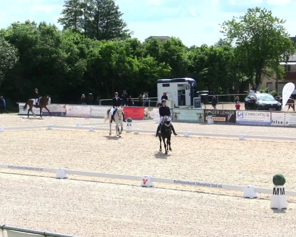 Reitturnier Mallersdorf-Pfaffenberg/Ndb. 2025