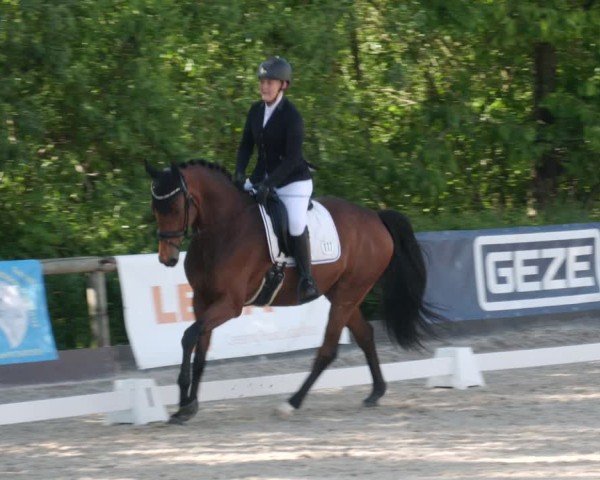 Reitturnier Leonberg 2025