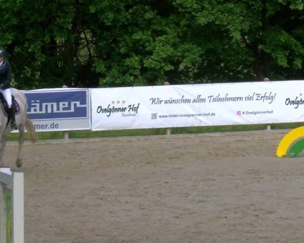Reitturnier Alvern 2025