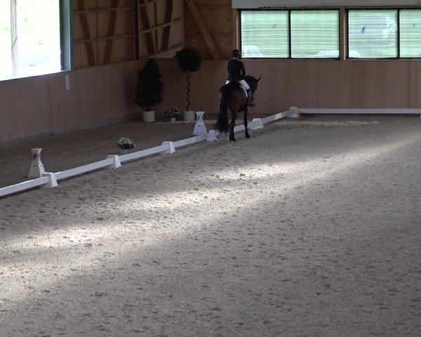 Reitturnier Aadorf 2025