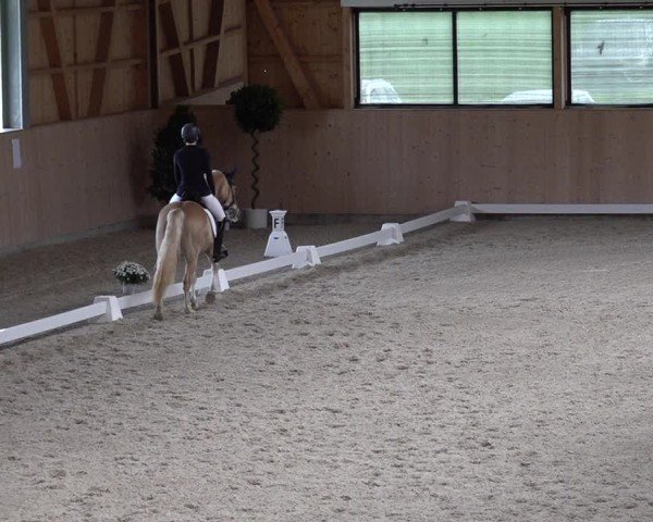 Reitturnier Aadorf 2025