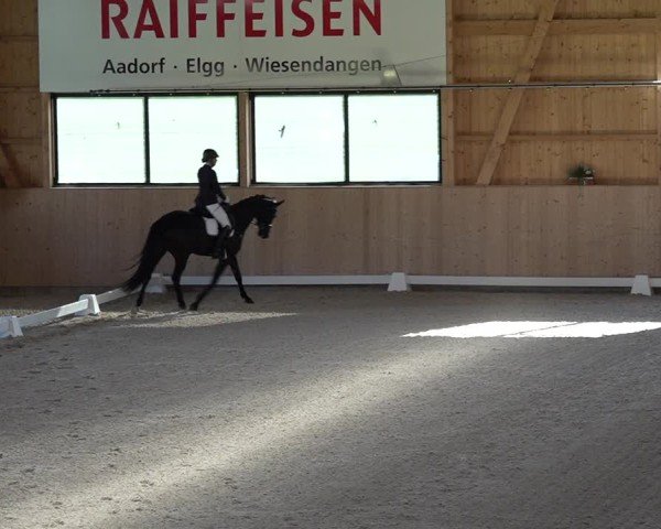 Reitturnier Aadorf 2025