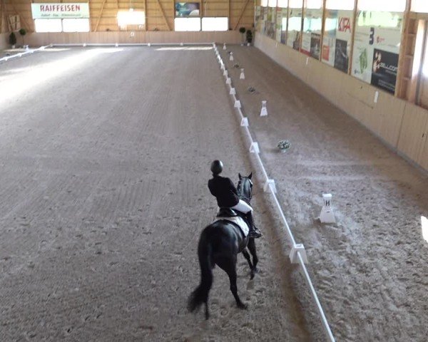 Reitturnier Aadorf 2025