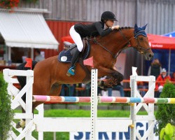 jumper Balou Star's Premier (German Warmblood, 2009, from Balou Star)