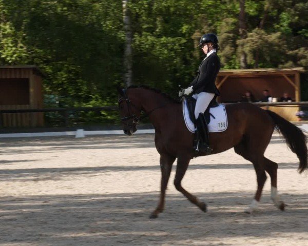 Reitturnier Leonberg 2025