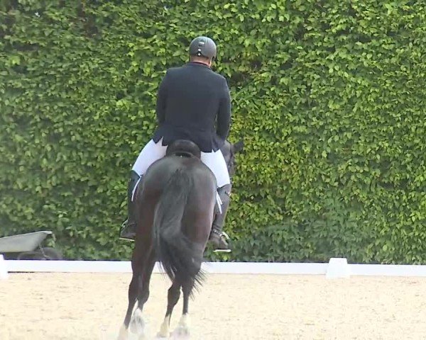 Reitturnier Notzing/Obb. 2025