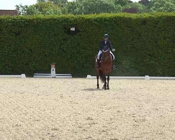 Reitturnier Notzing/Obb. 2025