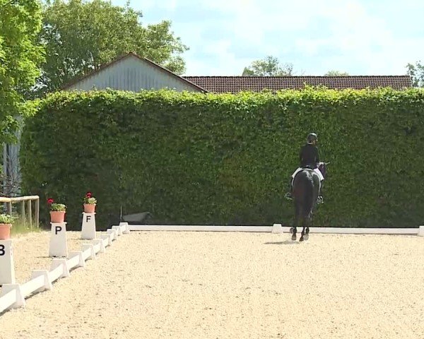 Reitturnier Notzing/Obb. 2025