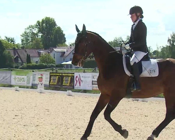 Reitturnier Notzing/Obb. 2025
