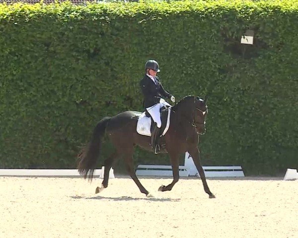 Reitturnier Notzing/Obb. 2025